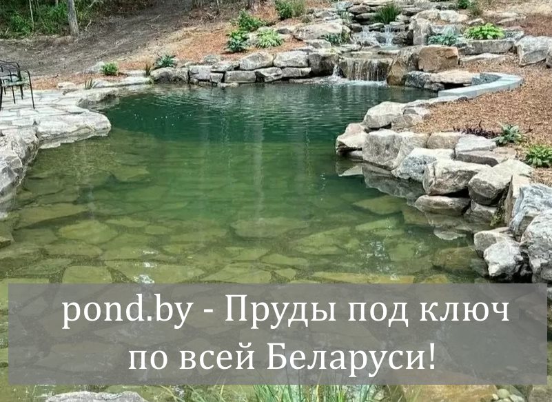Пруды под ключ - строительство прудов по всей Беларуси